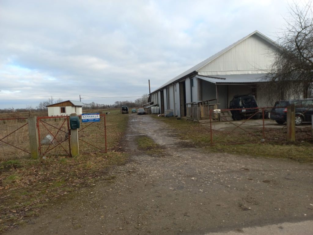 Hala/magazyn Grotniki Małe