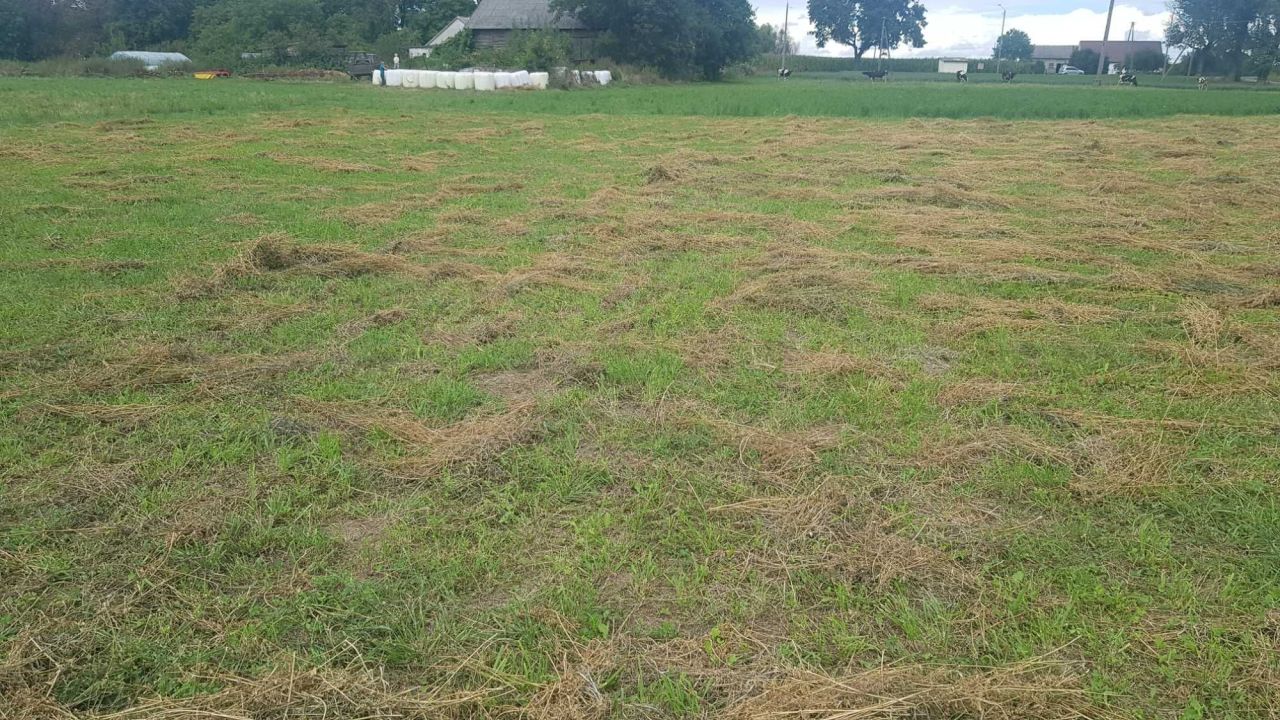 Działka budowlana Annowo. Zdjęcie 3