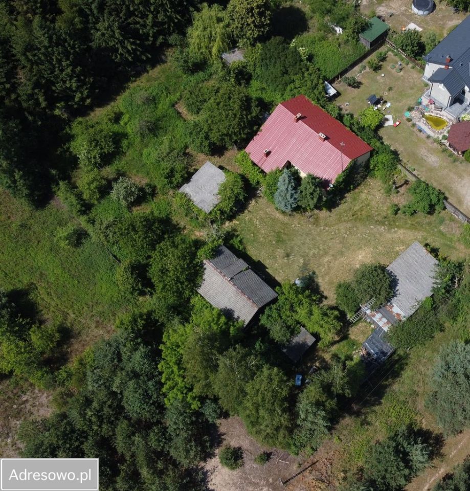 siedlisko, 5 pokoi Wistka Szlachecka. Zdjęcie 6