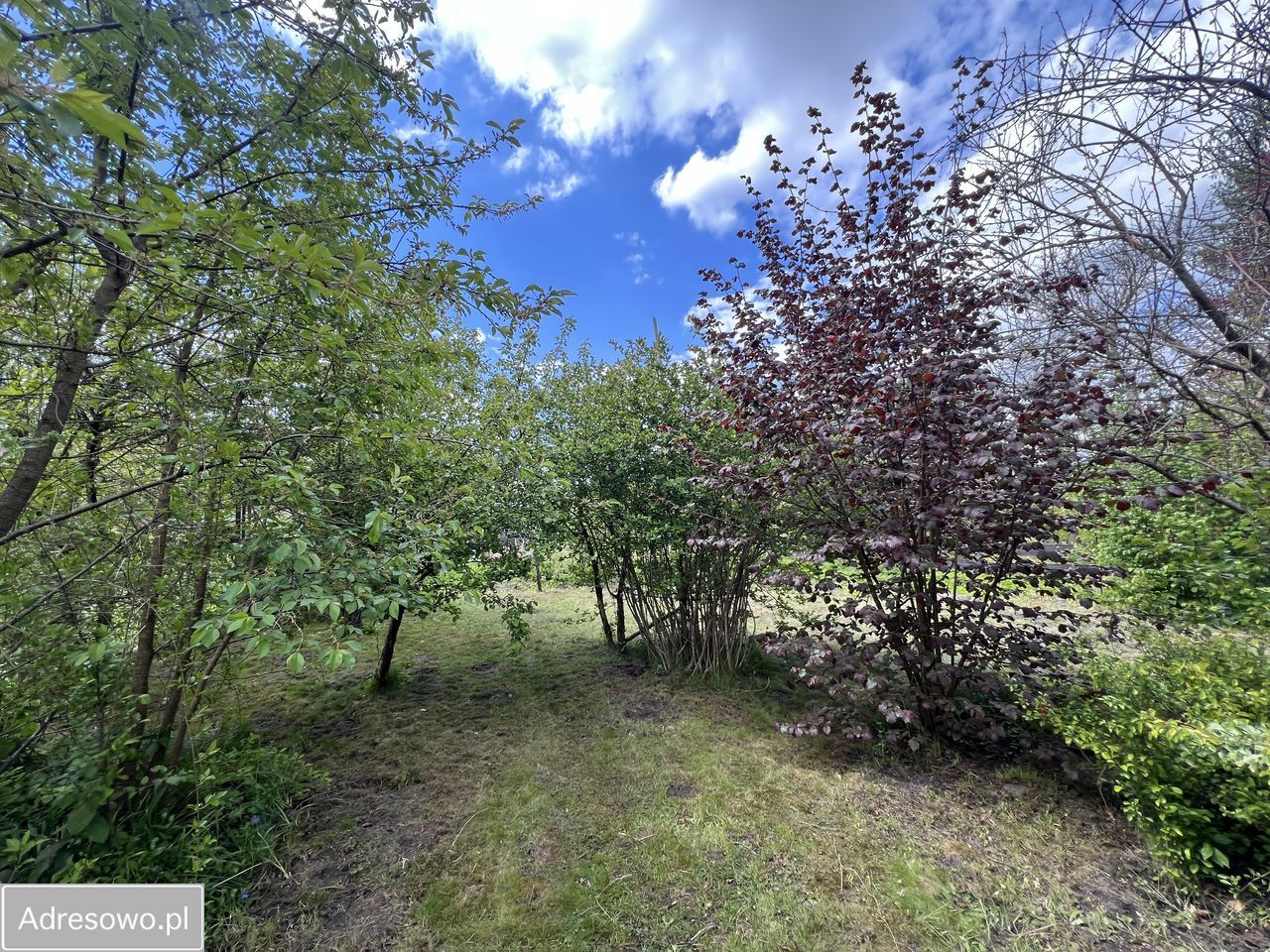 Działka rod Augustów, ul. Śliwkowa. Zdjęcie 5