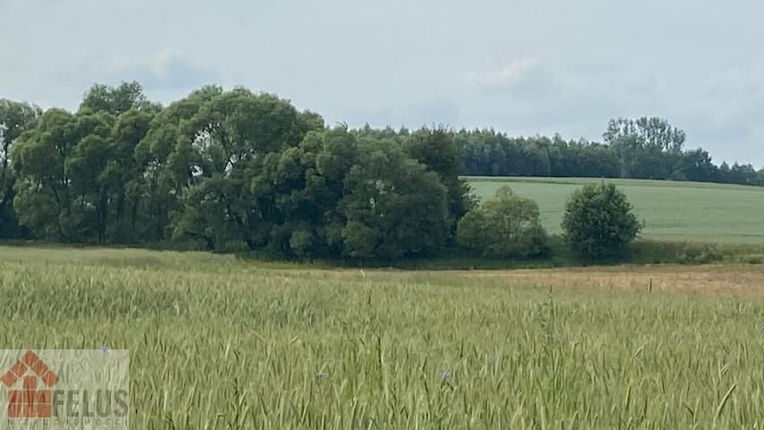 Działka rolna Czułówek. Zdjęcie 2