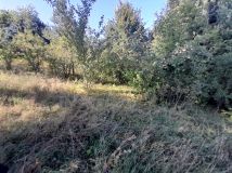 Działka rolno-budowlana Tuchlin. Zdjęcie 2