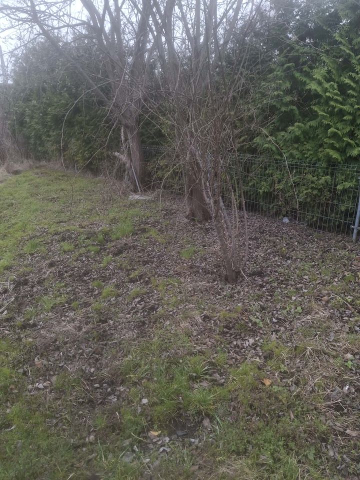 Działka rod Gdańsk Zaspa, ul. Zaścianek. Zdjęcie 4