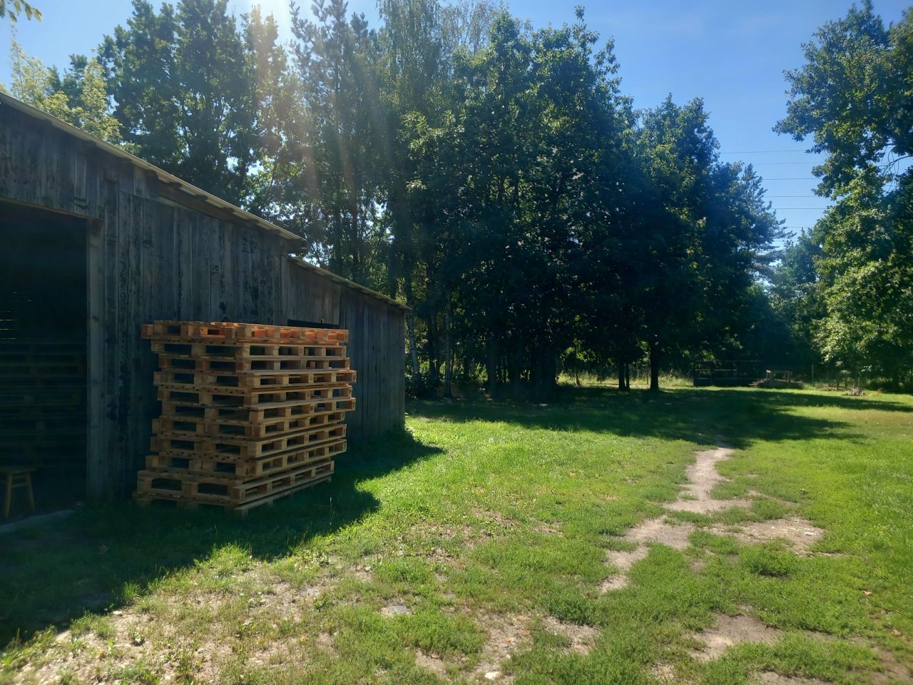 Działka inwestycyjna Żyrardów Podblich, 1 go maja. Zdjęcie 8