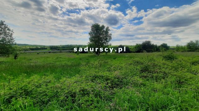 Działka inwestycyjna Rudno. Zdjęcie 5