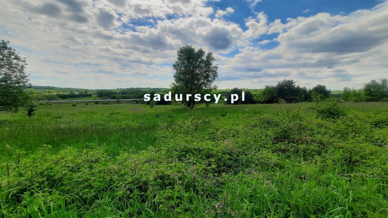 Działka inwestycyjna Rudno. Zdjęcie 5