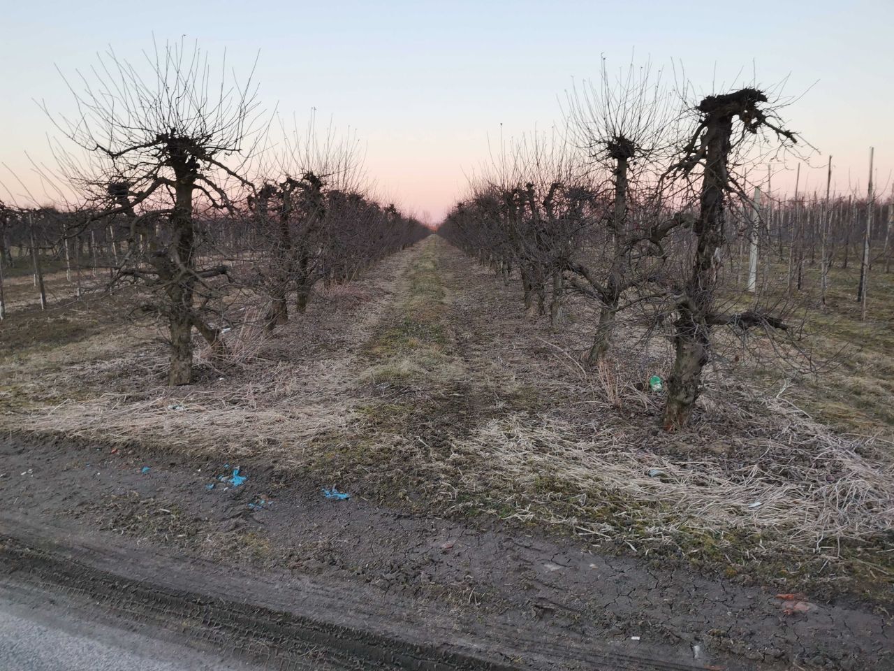 Działka budowlana Koćmierzów