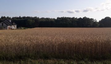 Działka rolno-budowlana Dobrzejewice