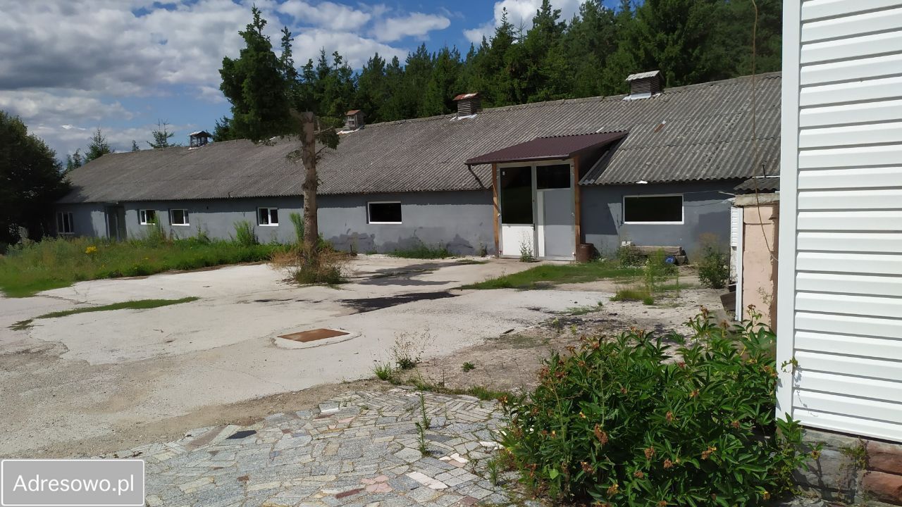 Hala/magazyn Stare Kupiski. Zdjęcie 17