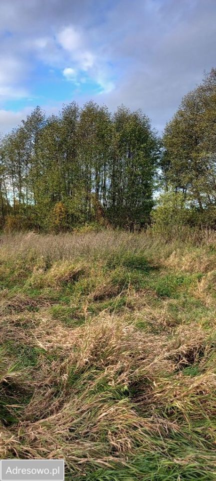 Działka rolna Jasień. Zdjęcie 5