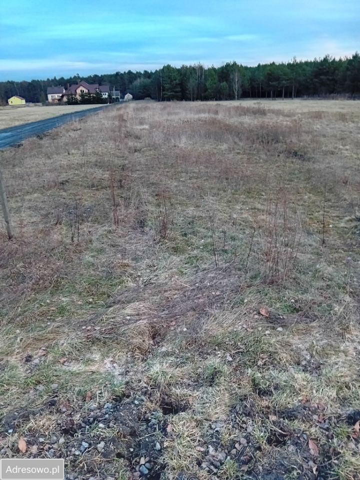 Działka budowlana Ostrowik. Zdjęcie 3