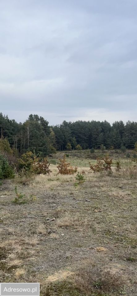Działka budowlana Chwaszczyno. Zdjęcie 3
