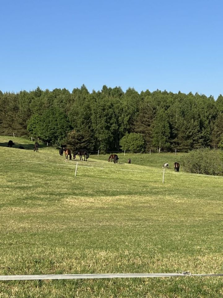 Działka budowlana Borek Kamienny. Zdjęcie 5