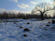 Działka budowlana Kowalewo, ul. Wiśniowa. Zdjęcie 2