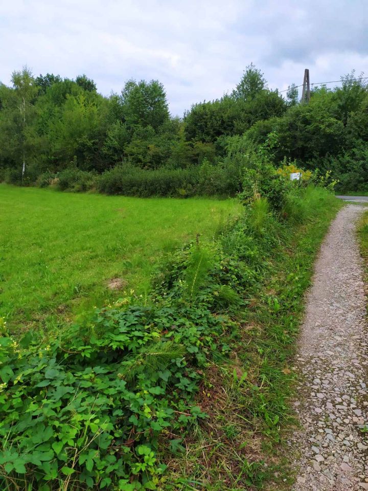 Działka rekreacyjna Zręczyce. Zdjęcie 6