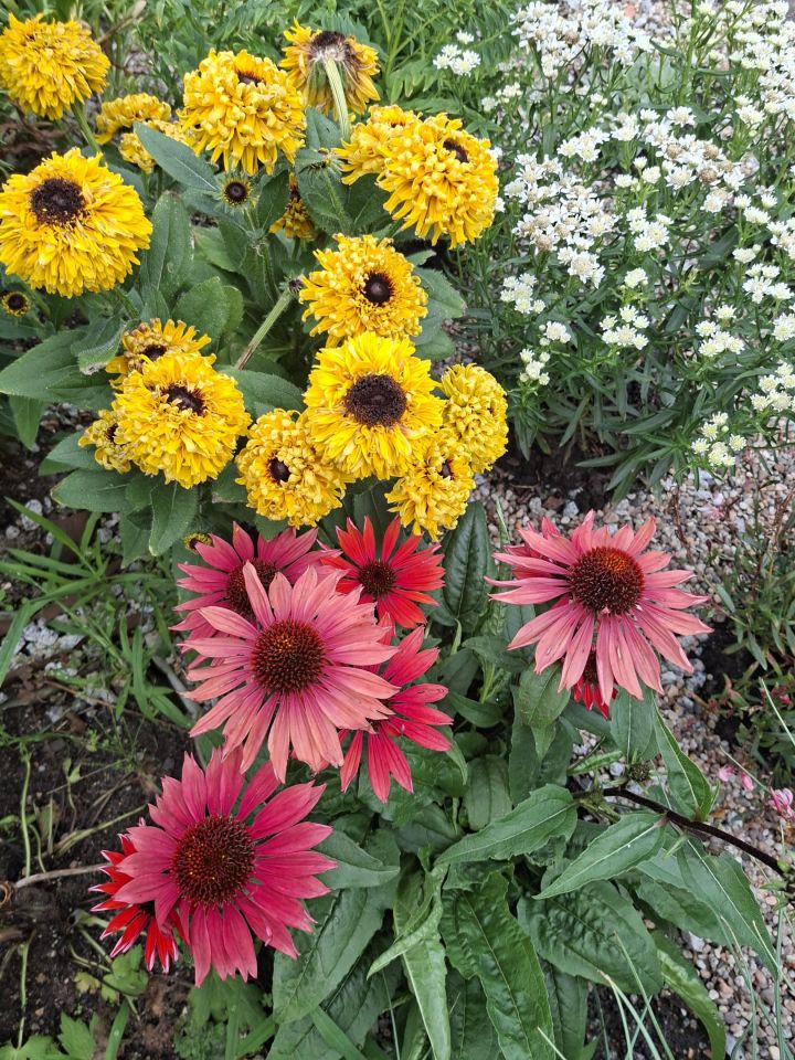 Działka rekreacyjna Wrocław Fabryczna, ul. Wojanowska. Zdjęcie 12