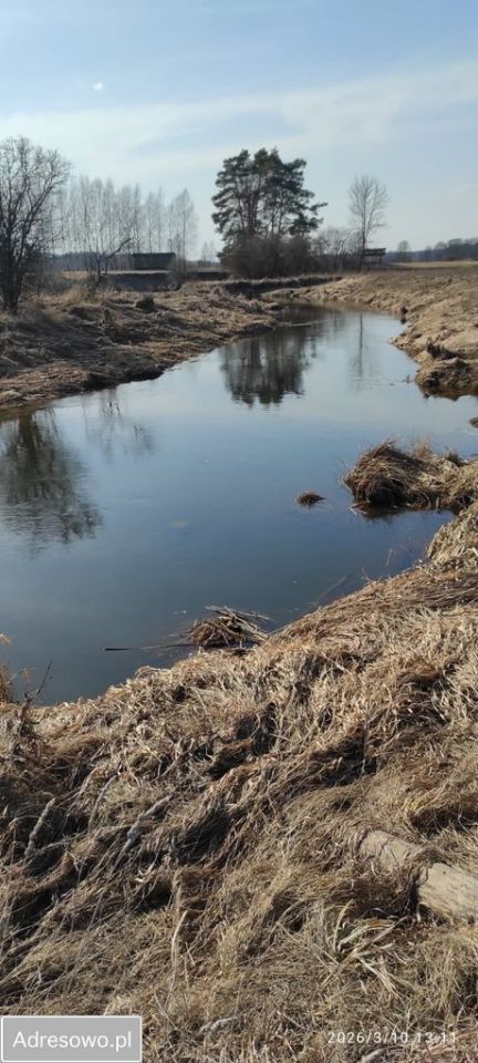 Działka budowlana Niegowiec. Zdjęcie 12