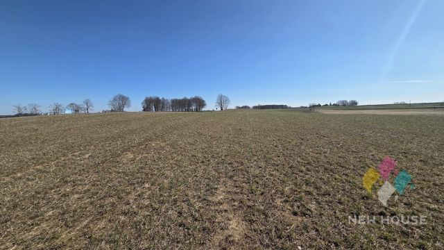 Działka rolna Woźnice. Zdjęcie 6