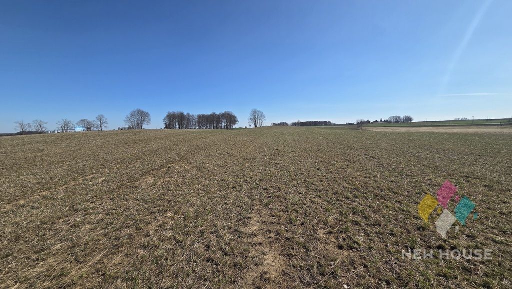 Działka rolna Woźnice. Zdjęcie 6