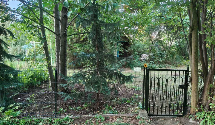 Działka rod Warszawa Targówek, ul. Głębocka
