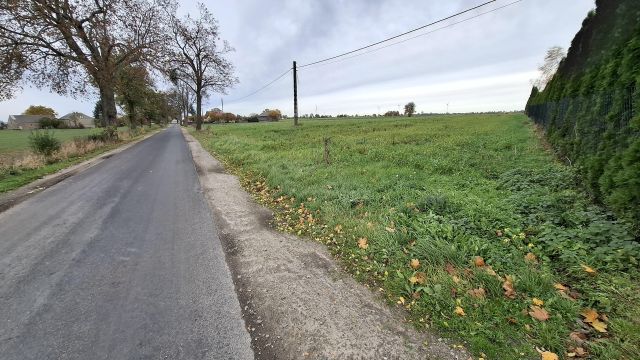 Działka rolna Kotomierz, ul. Miodowa. Zdjęcie 1