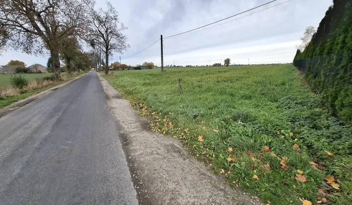 Działka rolna Kotomierz, ul. Miodowa
