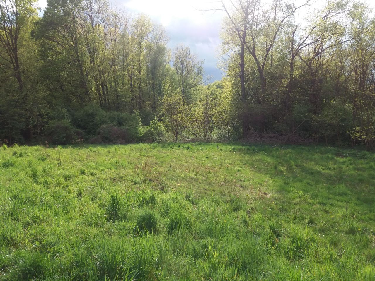 Działka rolna Kraków Podgórze, ul. Stanisława Pronia. Zdjęcie 6