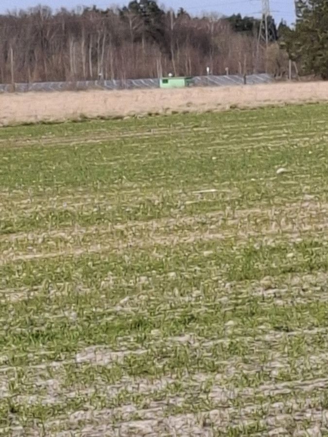 Działka inwestycyjna Charnowo. Zdjęcie 7