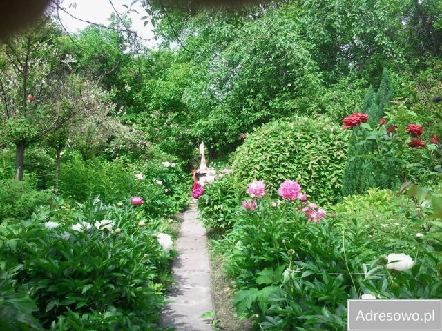 Działka rod Warszawa Ochota, ul. Żwirki i Wigury. Zdjęcie 1