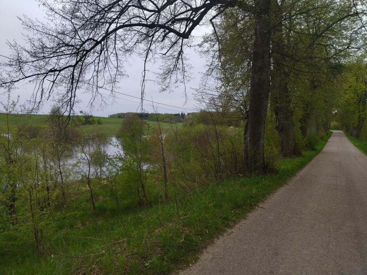 Działka budowlana Rumy. Zdjęcie 14