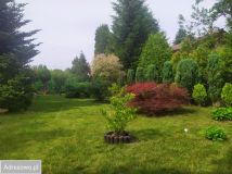 Działka rekreacyjna Brodła. Zdjęcie 2