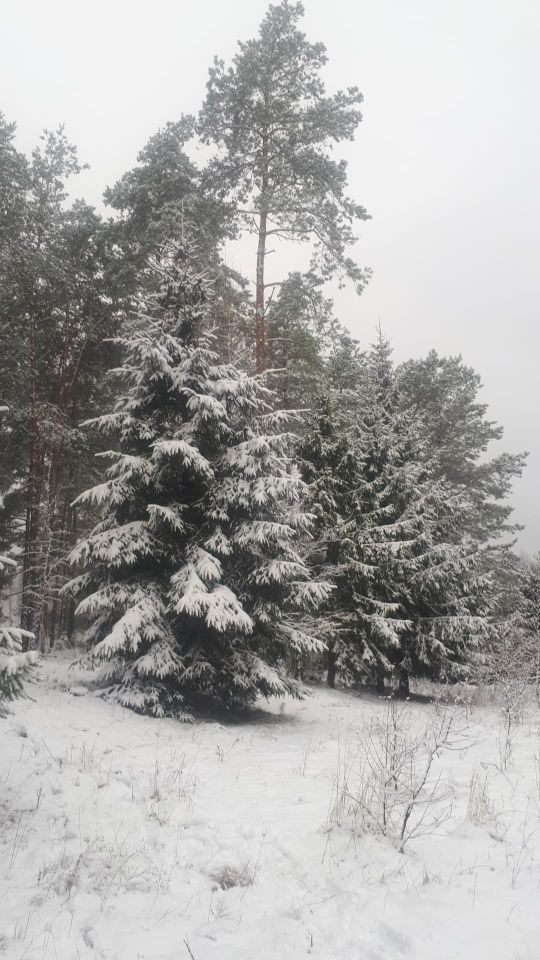 Działka budowlana Walne. Zdjęcie 3