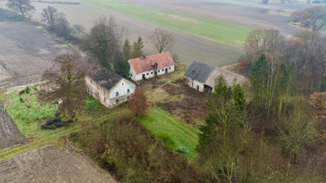 Działka budowlana Siekierowice. Zdjęcie 20