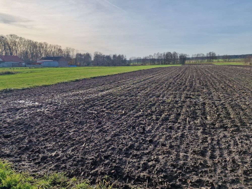 Działka rolna Biskupice. Zdjęcie 5