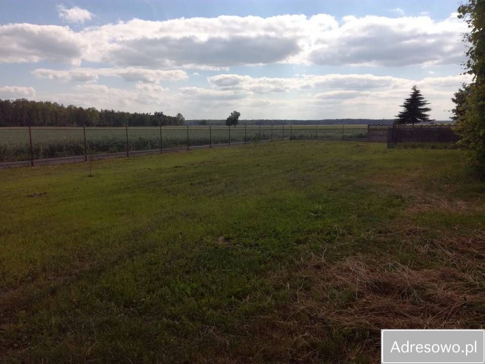 gospodarstwo, 4 pokoje Grójec Wielki. Zdjęcie 2