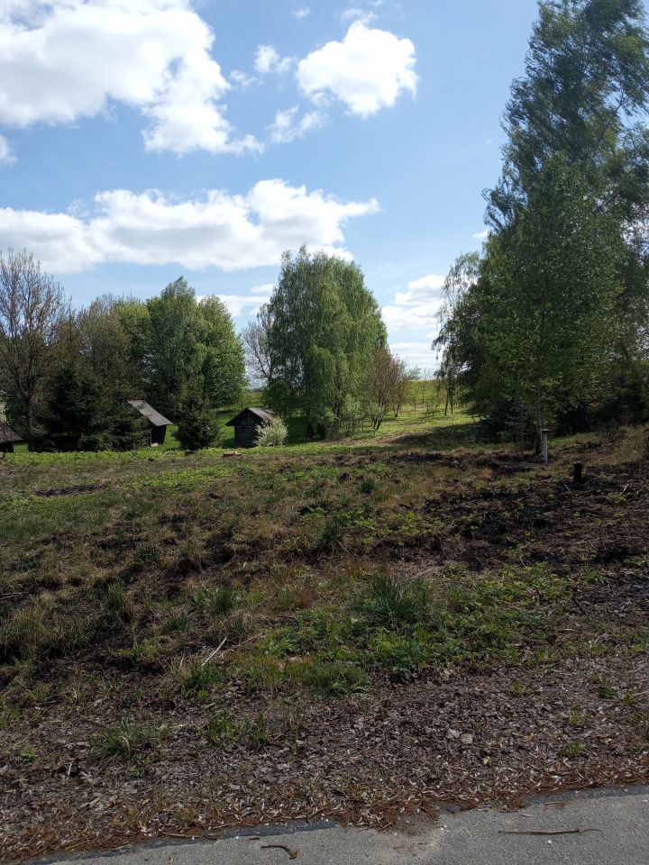 Działka rolno-budowlana Osiczyna. Zdjęcie 4