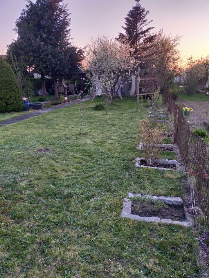 Działka rod Polkowice. Zdjęcie 3