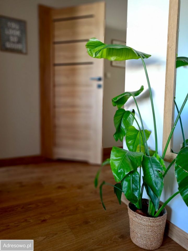 Mieszkanie 2-pokojowe Reda, ul. Długa. Zdjęcie 19