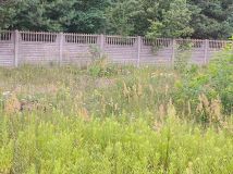 Działka budowlana Janówek Drugi, ul. Graniczna. Zdjęcie 2
