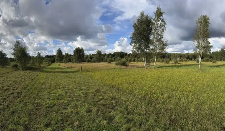 Działka rolna Sulicice