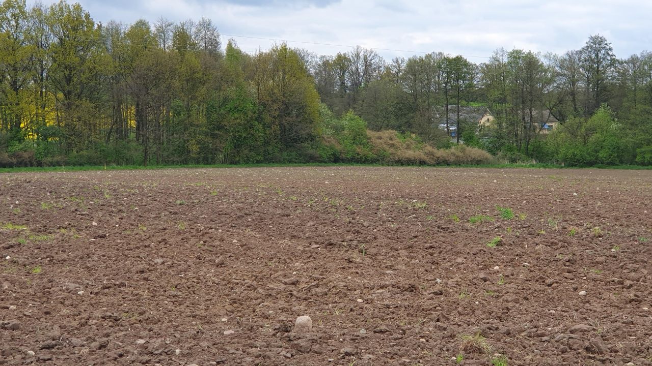 Działka budowlana Gaj. Zdjęcie 3