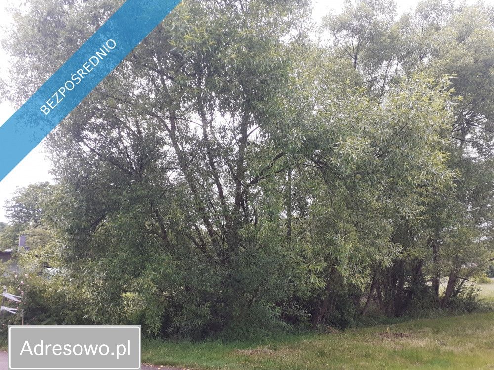 Działka budowlana Mazańcowice. Zdjęcie 2