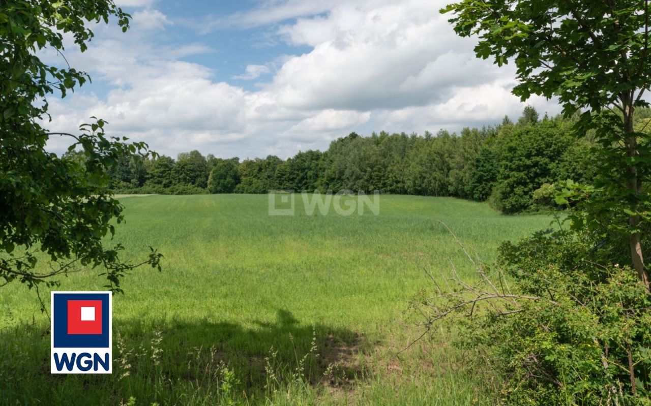 Działka inwestycyjna Piskajny. Zdjęcie 4