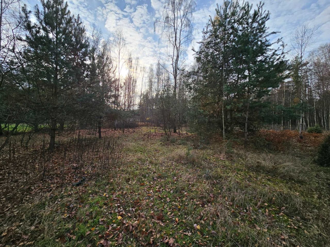 Działka rolna Ponurzyca. Zdjęcie 7