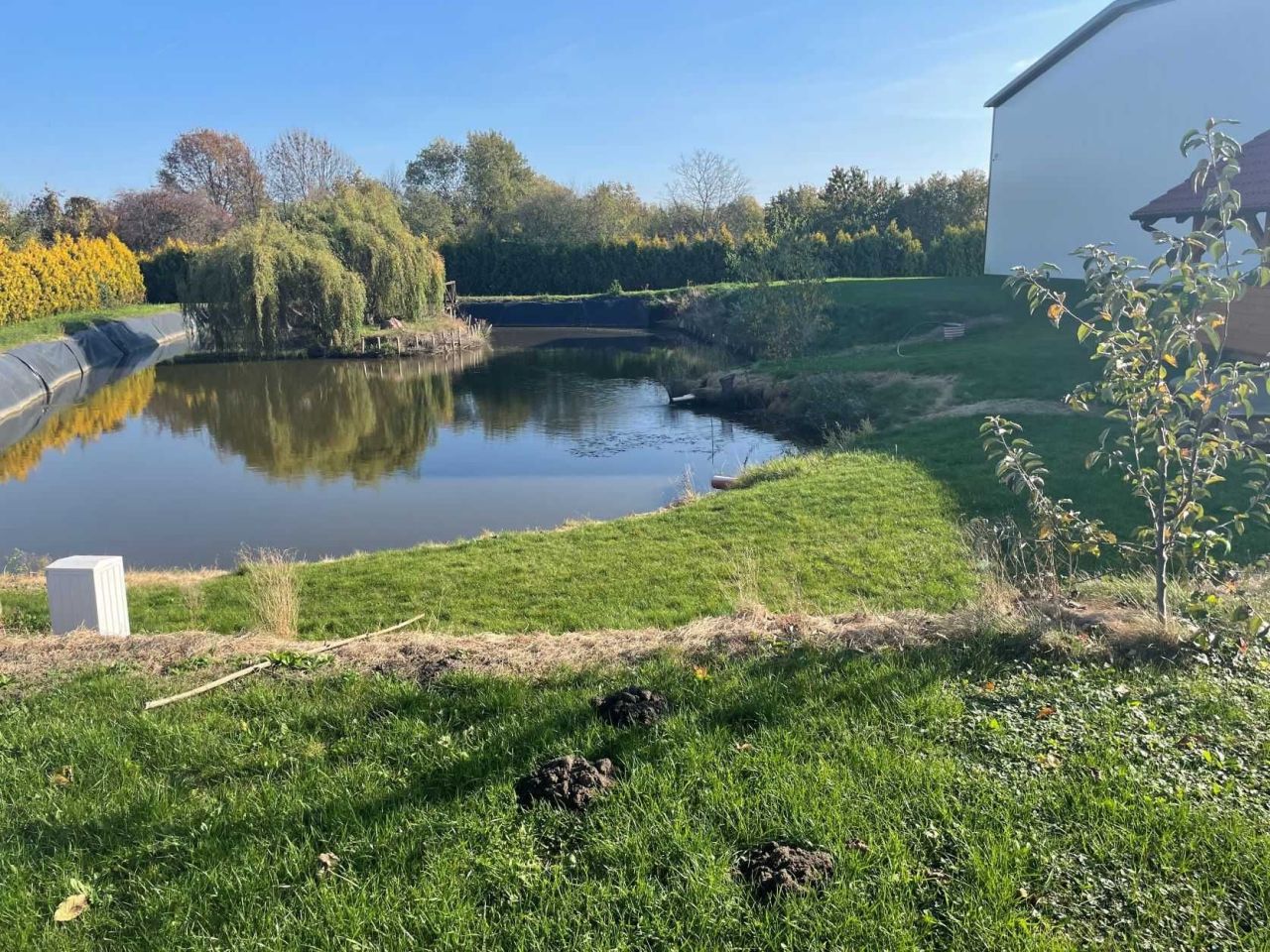 Hala/magazyn Trzebnica. Zdjęcie 6