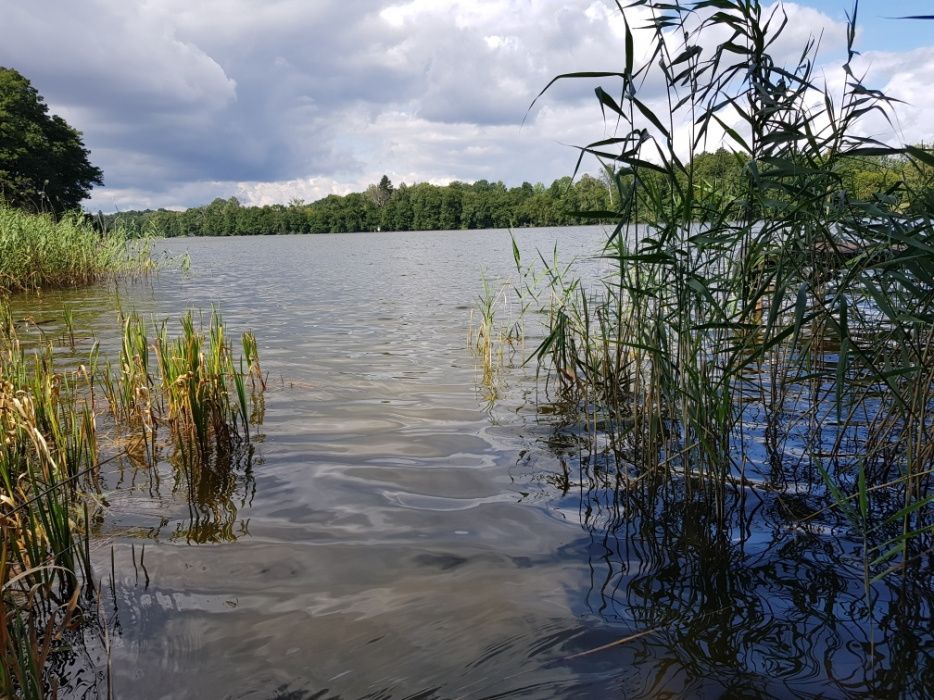 dom wolnostojący, 7 pokoi Strączno. Zdjęcie 16