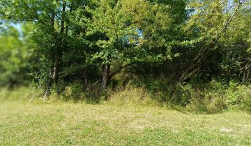 Działka rolna Lubomierz