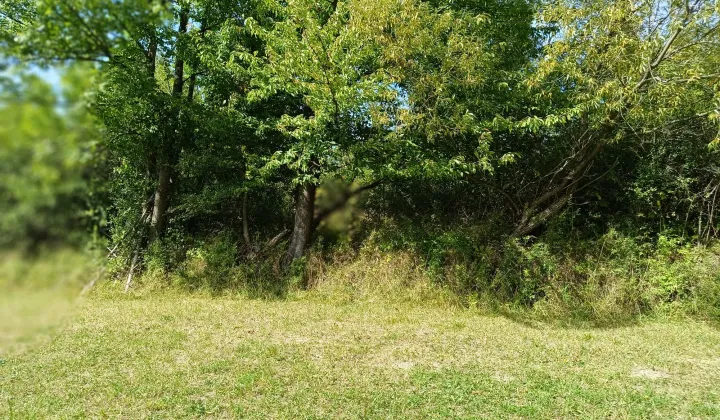 Działka rolna Lubomierz