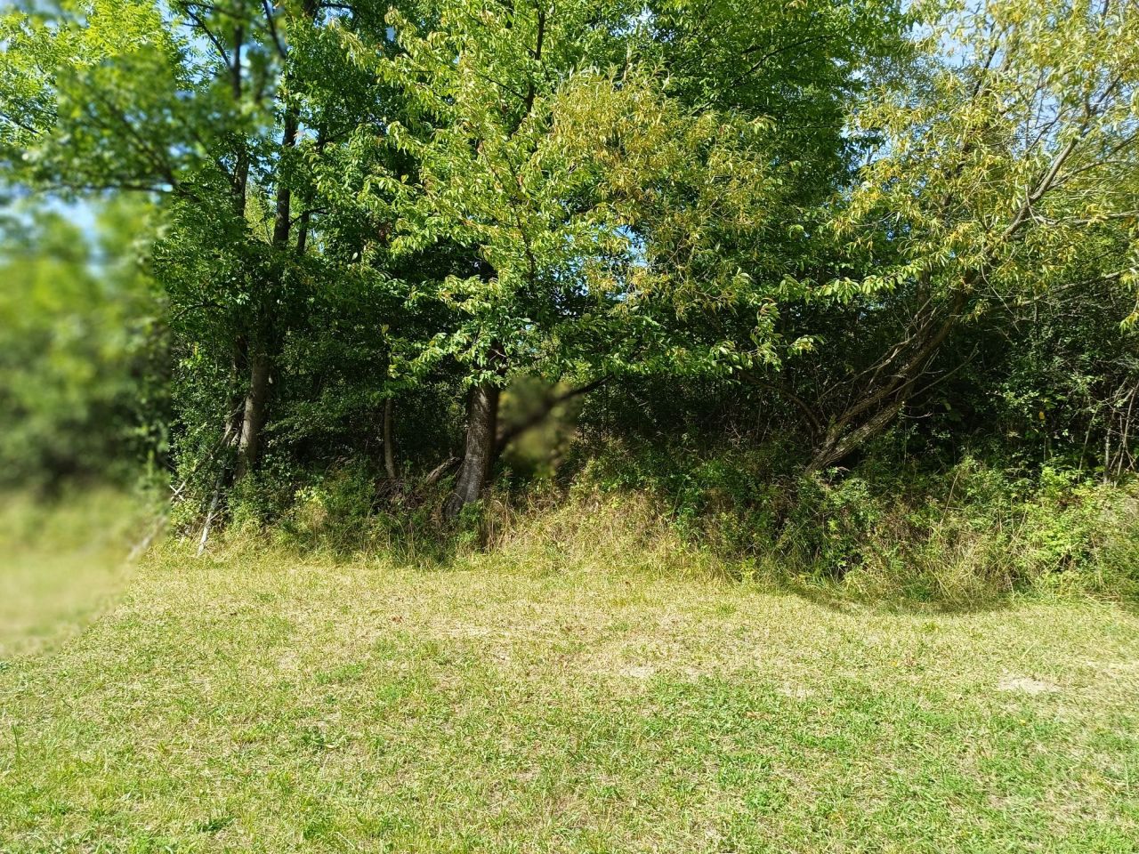 Działka rolna Lubomierz