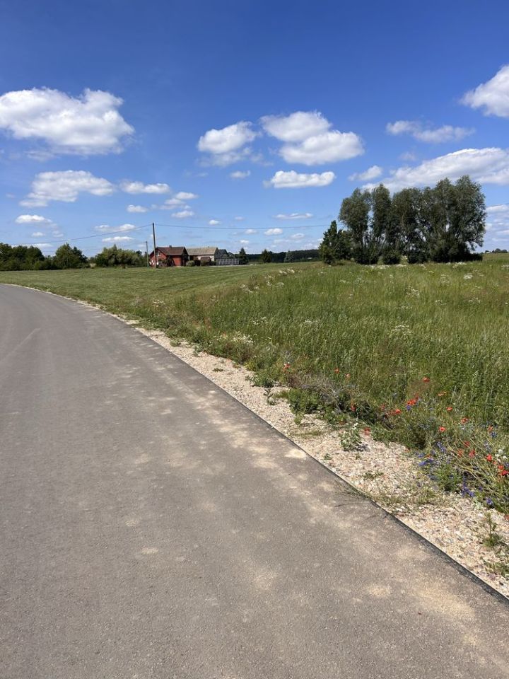 Działka rolna Kleszczyn. Zdjęcie 6